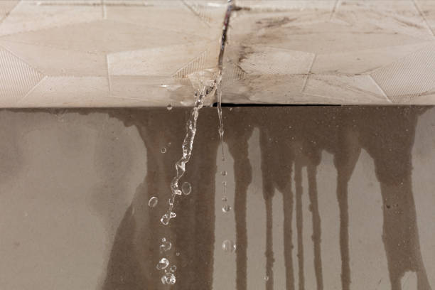Professional Sewage Cleanup technician working in Berthoud, CO
